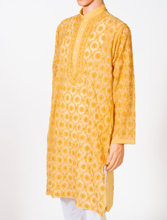 Lucknow Chikan Emporium Georgette Fawn Colour Gents Kurta Fancy Hand Chikankari.